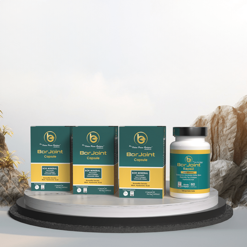 BorJoint Üçlü Set Paket-min.png (235 KB)